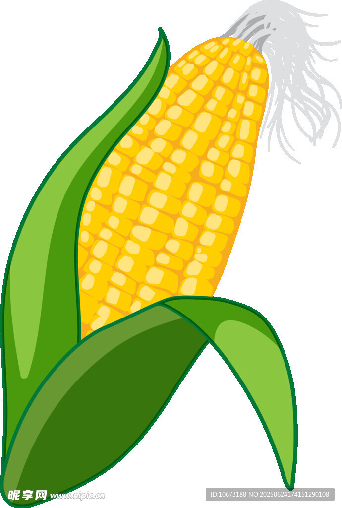 新鲜玉米棒