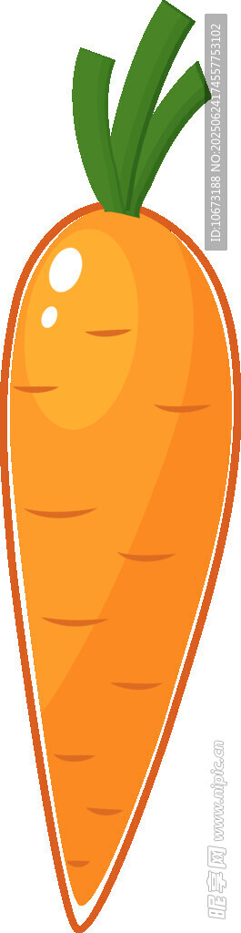 两根橙色胡萝卜插画