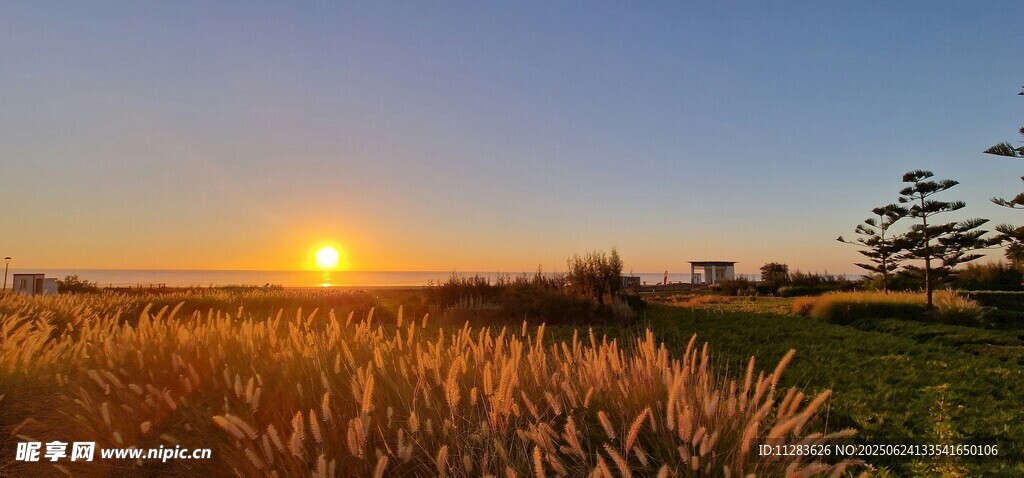 夕阳下的广阔田野风光