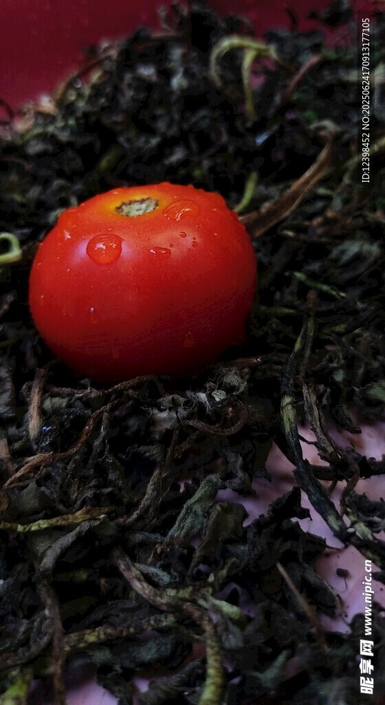 鲜红番茄
