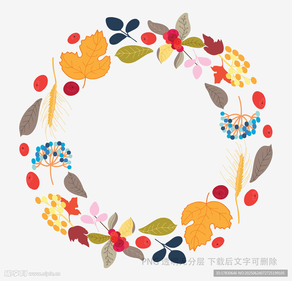 多彩花卉树叶圆形装饰框