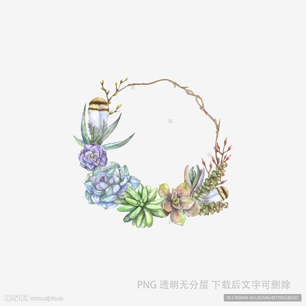 多肉植物花环装饰图案