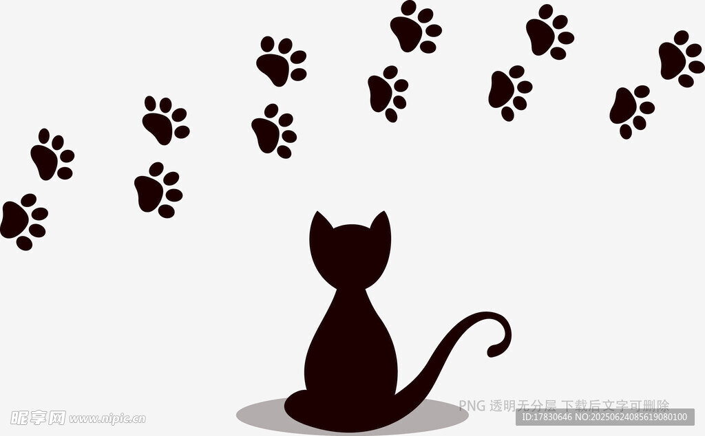 黑猫与延伸的猫爪印