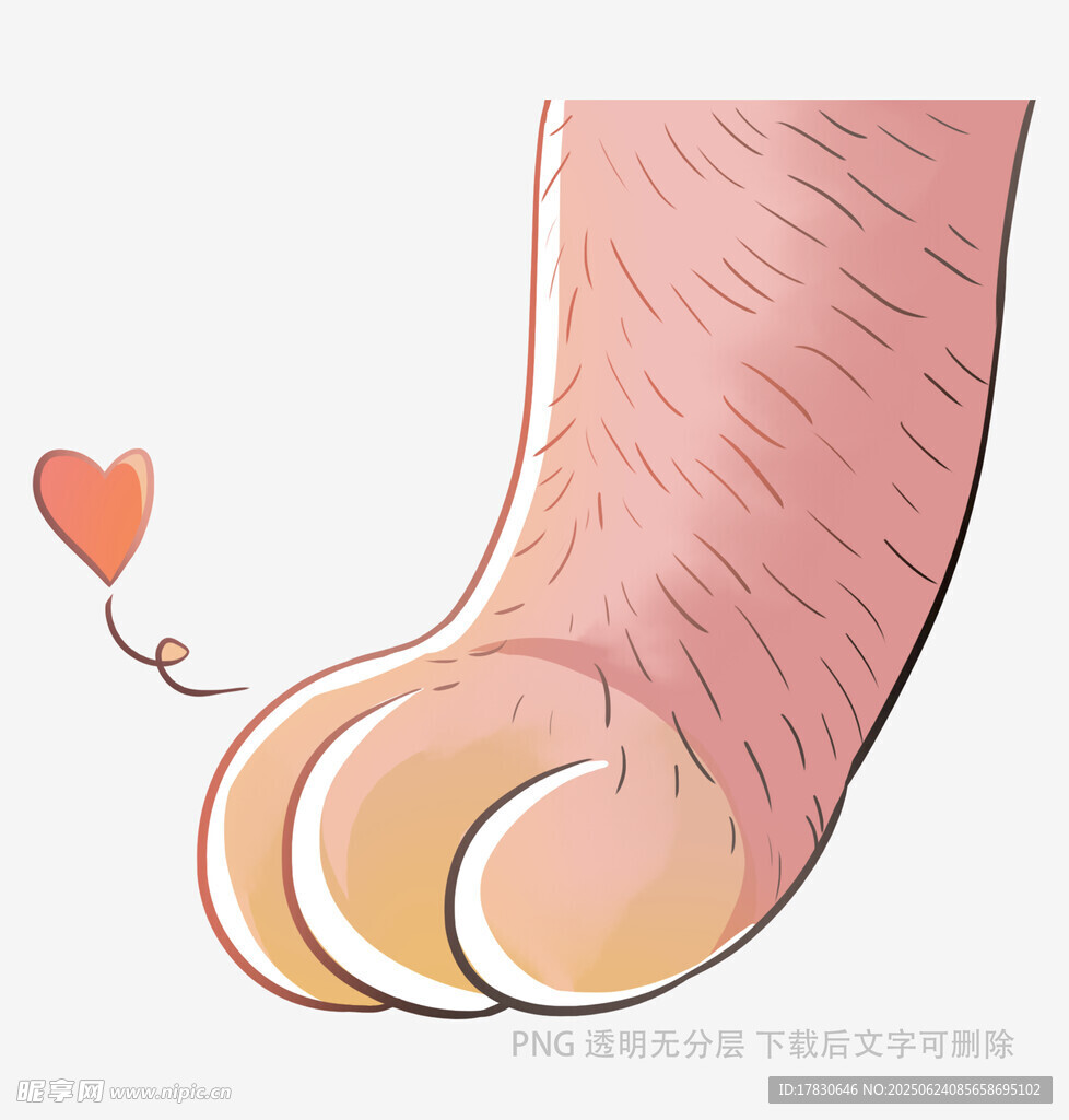 毛茸茸脚丫与爱心萌趣画面