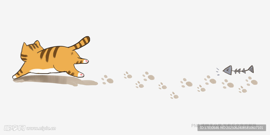 猫咪追逐小球欢乐瞬间