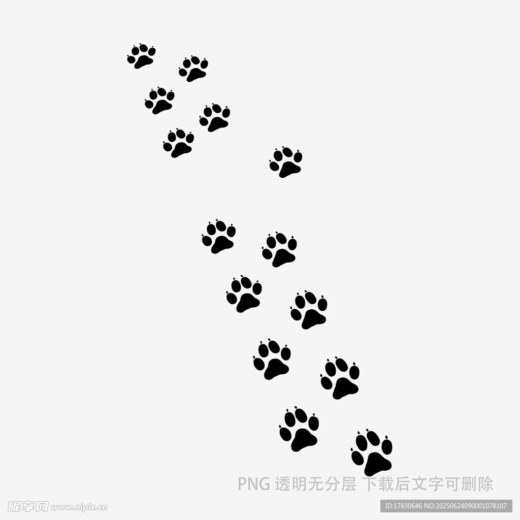 动物爪印延伸的足迹