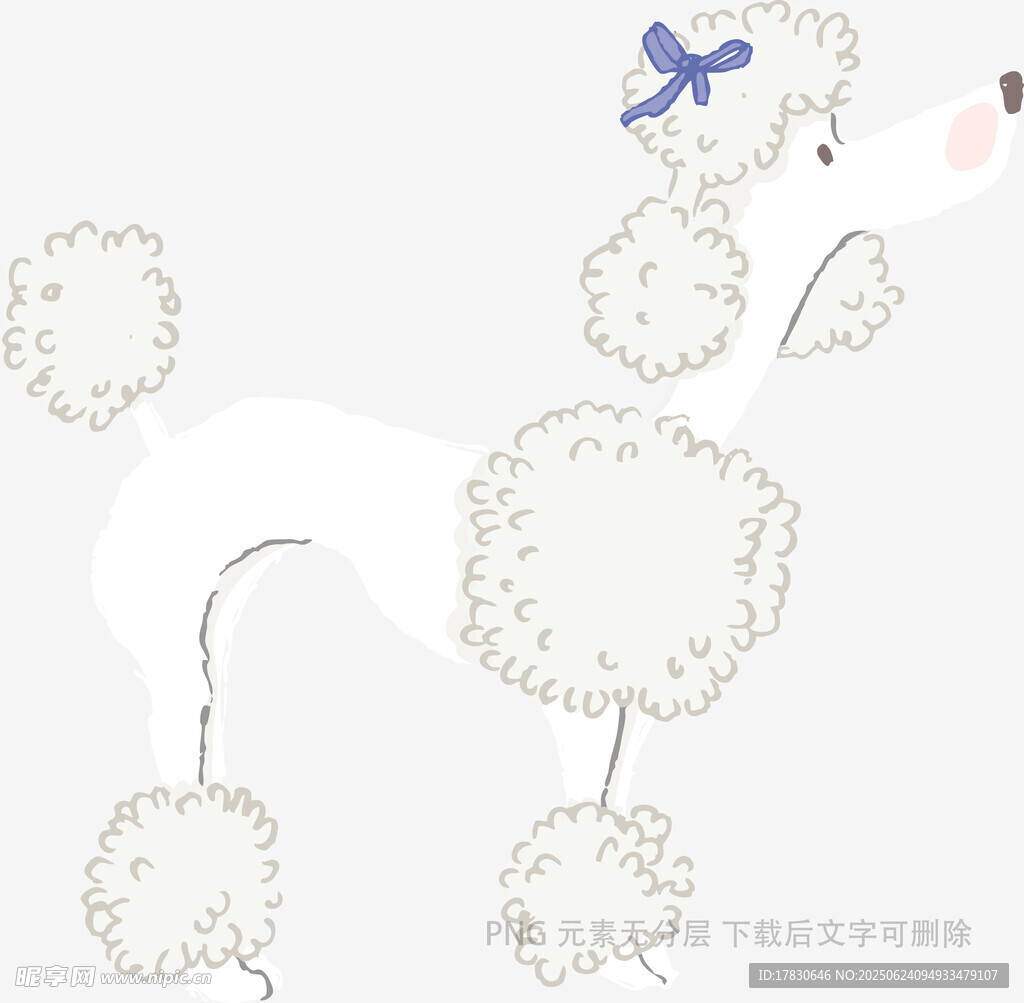 可爱白色贵宾犬插画