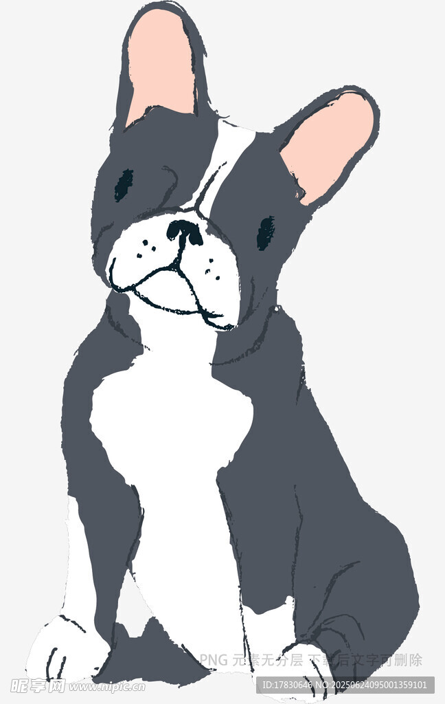 可爱波士顿梗犬插画