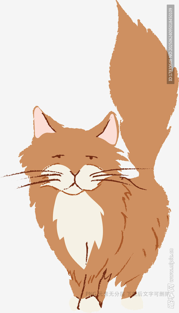 可爱长毛猫插画