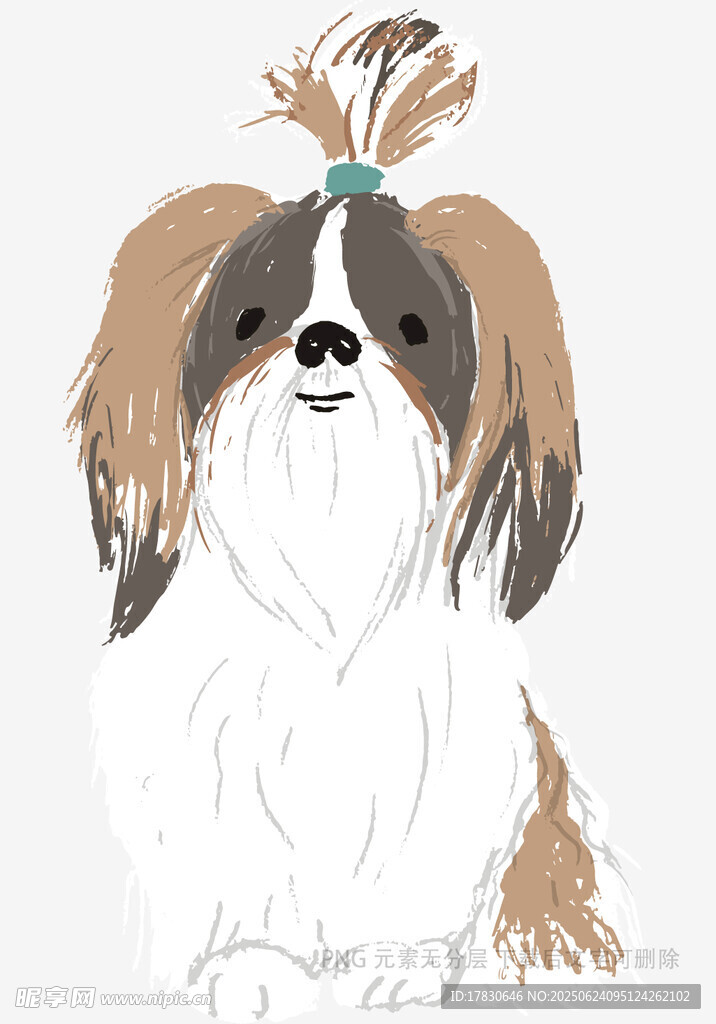 可爱西施犬插画