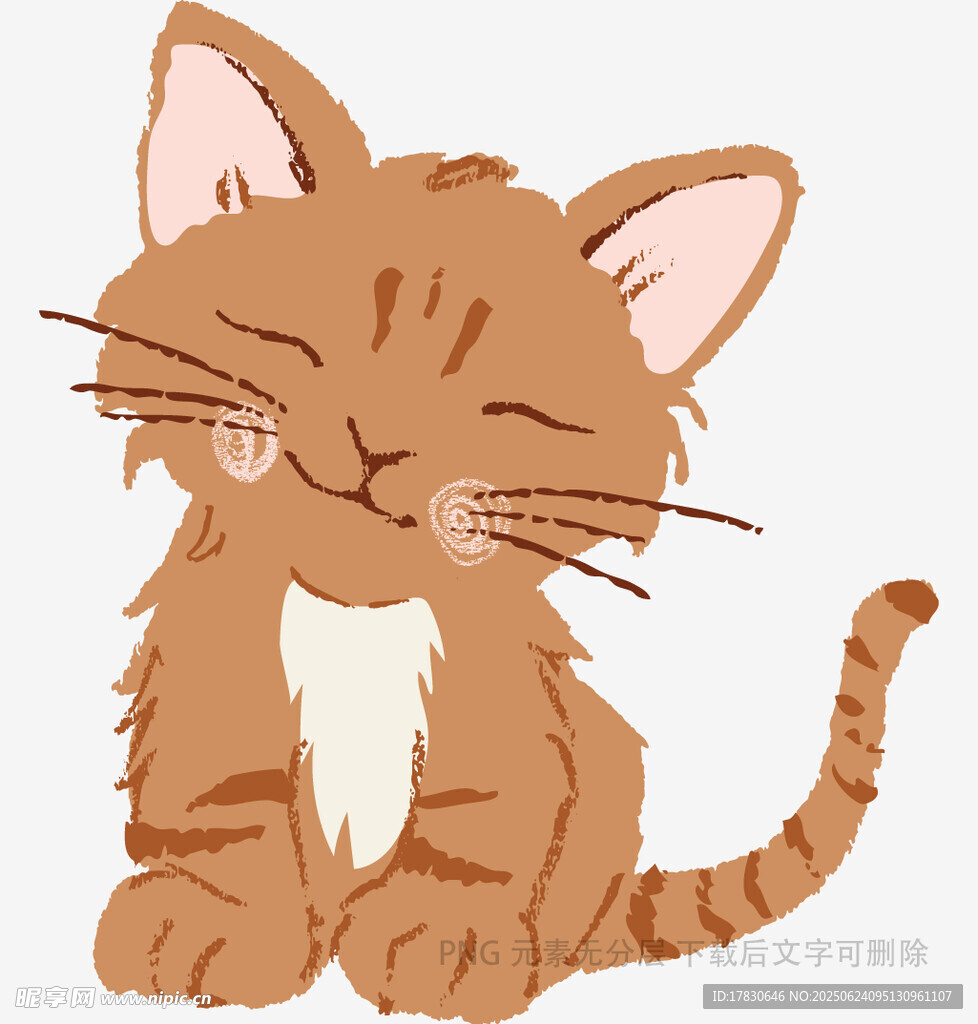 可爱小猫咪