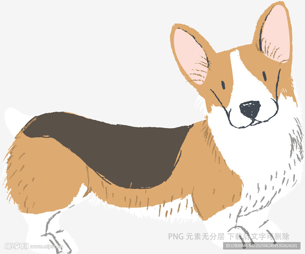 可爱柯基插画