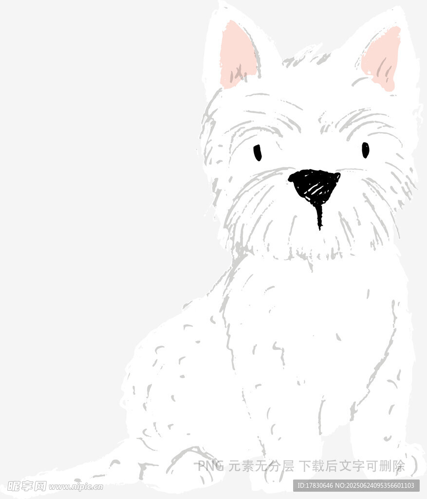 可爱白色小狗插画