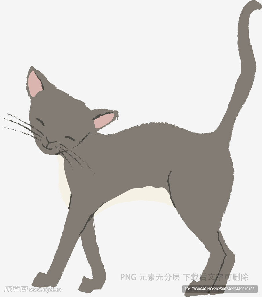 行走的灰猫