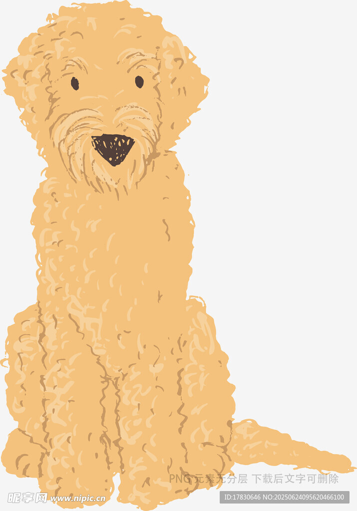 可爱金毛犬插画