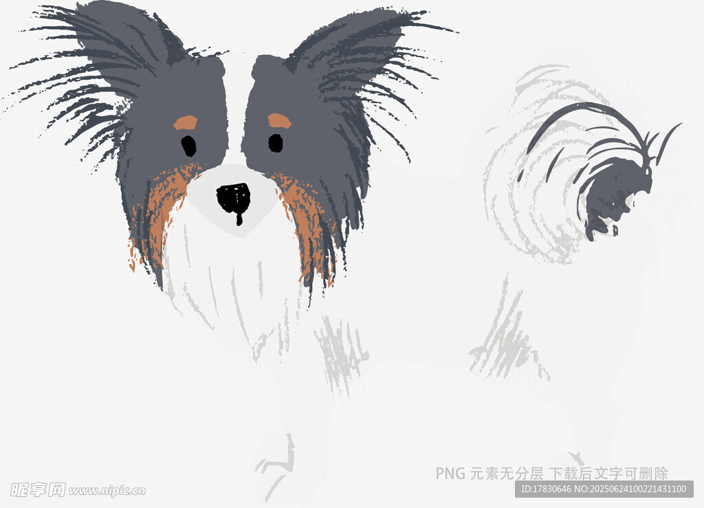 可爱蝴蝶犬插画