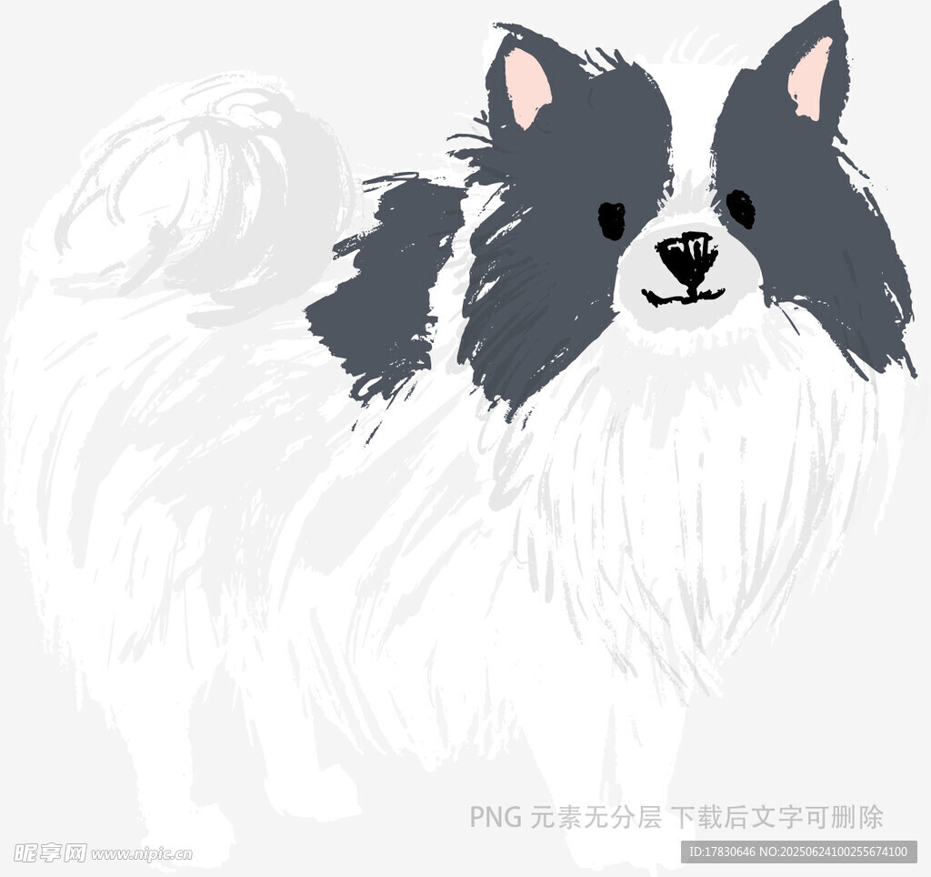 可爱长毛蝴蝶犬插画