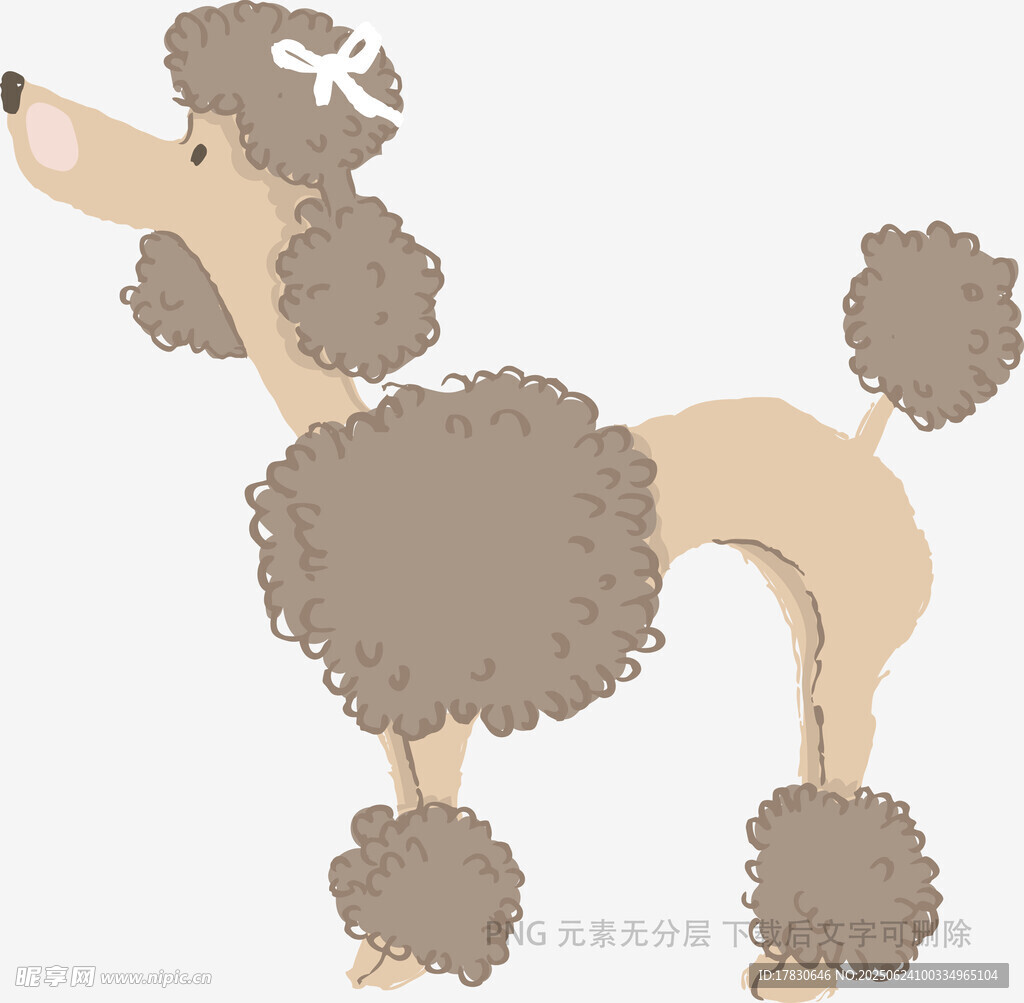 可爱贵宾犬插画