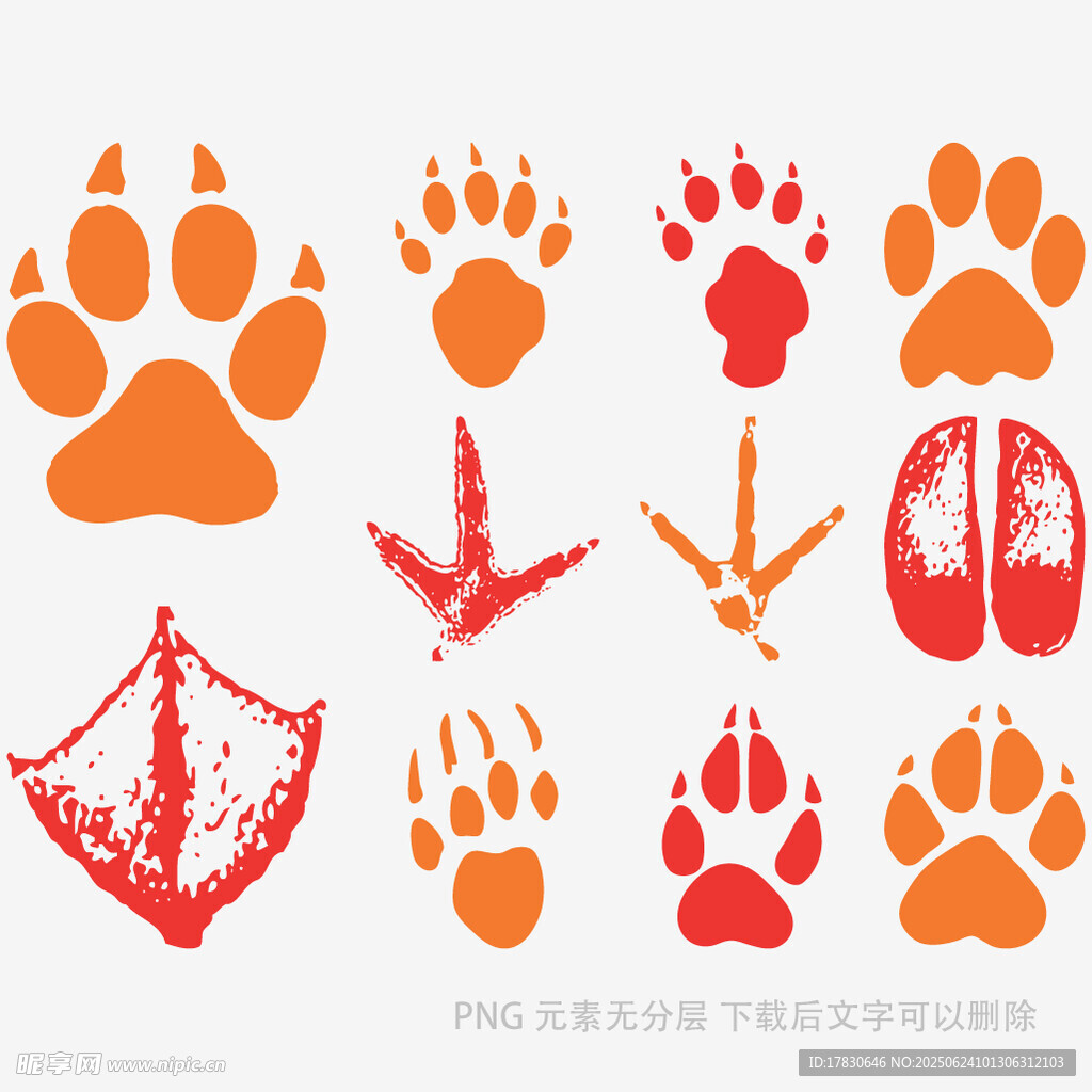 动物爪印图案设计素材