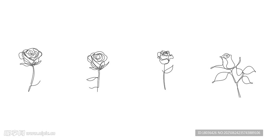 连续线条玫瑰花卉极简主义png