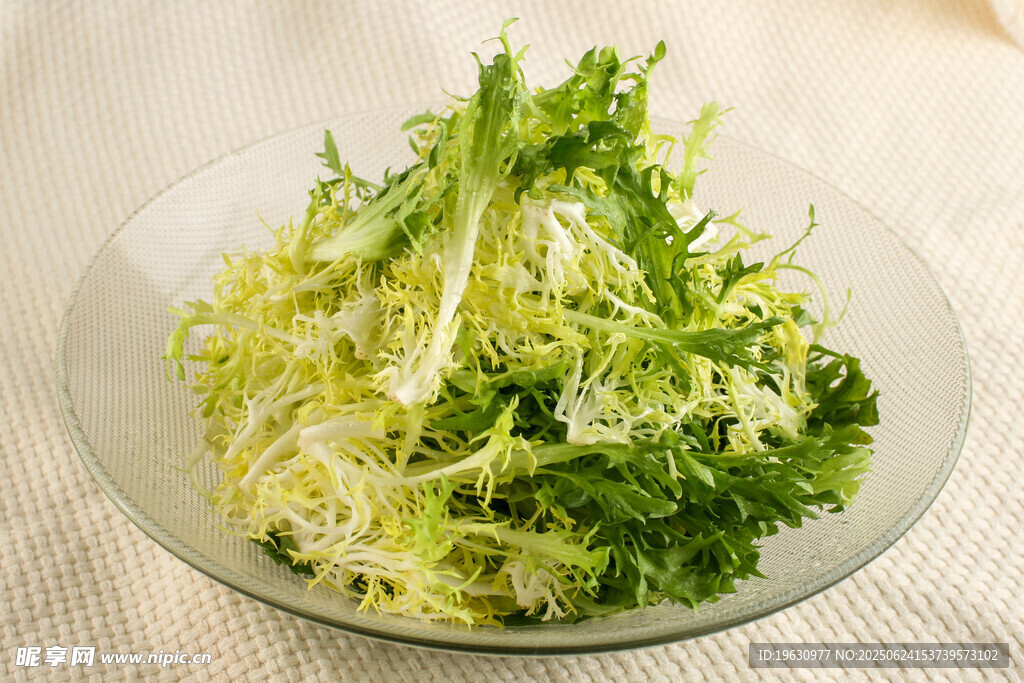 新鲜苦菊