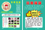 苗 蕾 福 罐  宣传彩页