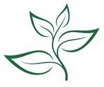茶叶线条