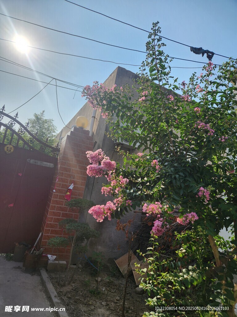 阳光下的繁花与红墙