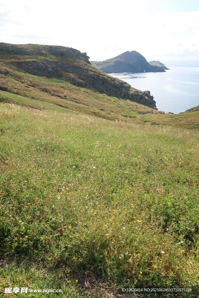海边草地与远处岛屿风光