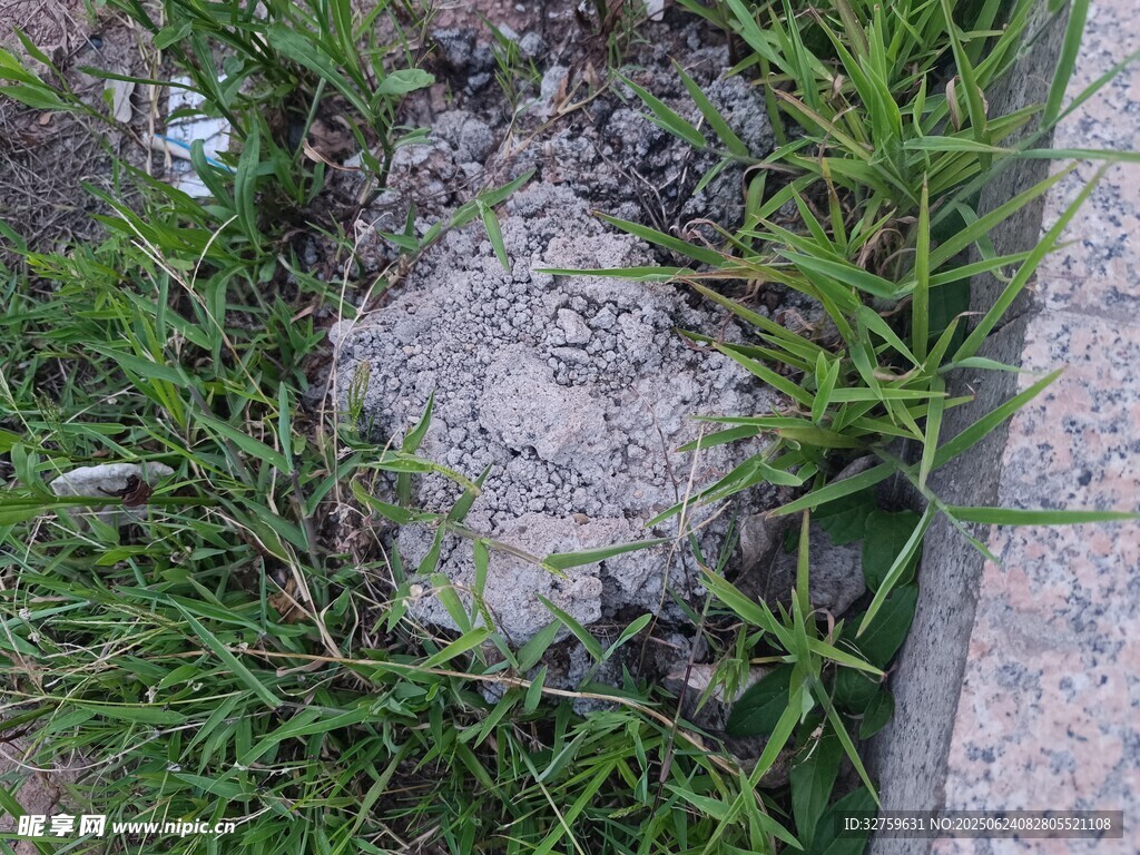 草丛中的灰色石块
