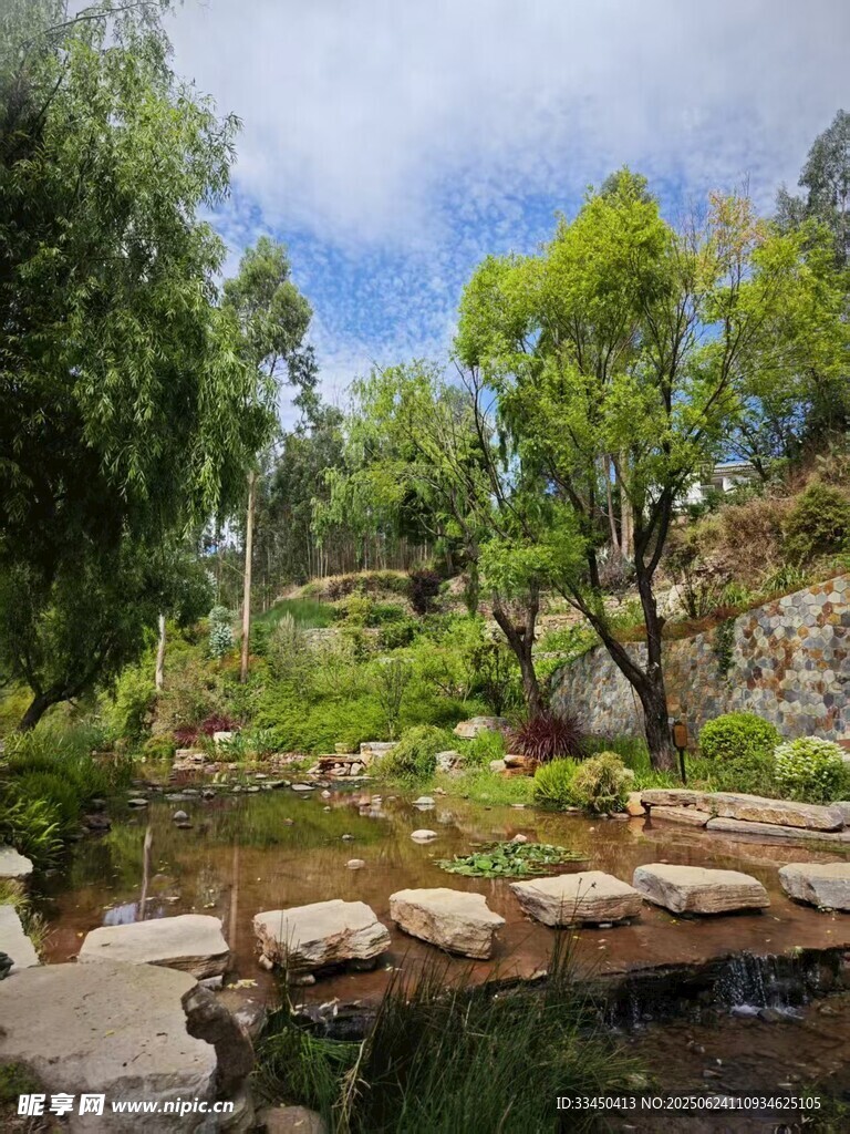 山间石径旁的葱郁景致