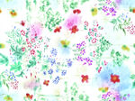 手绘花 