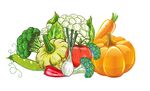 蔬菜插画