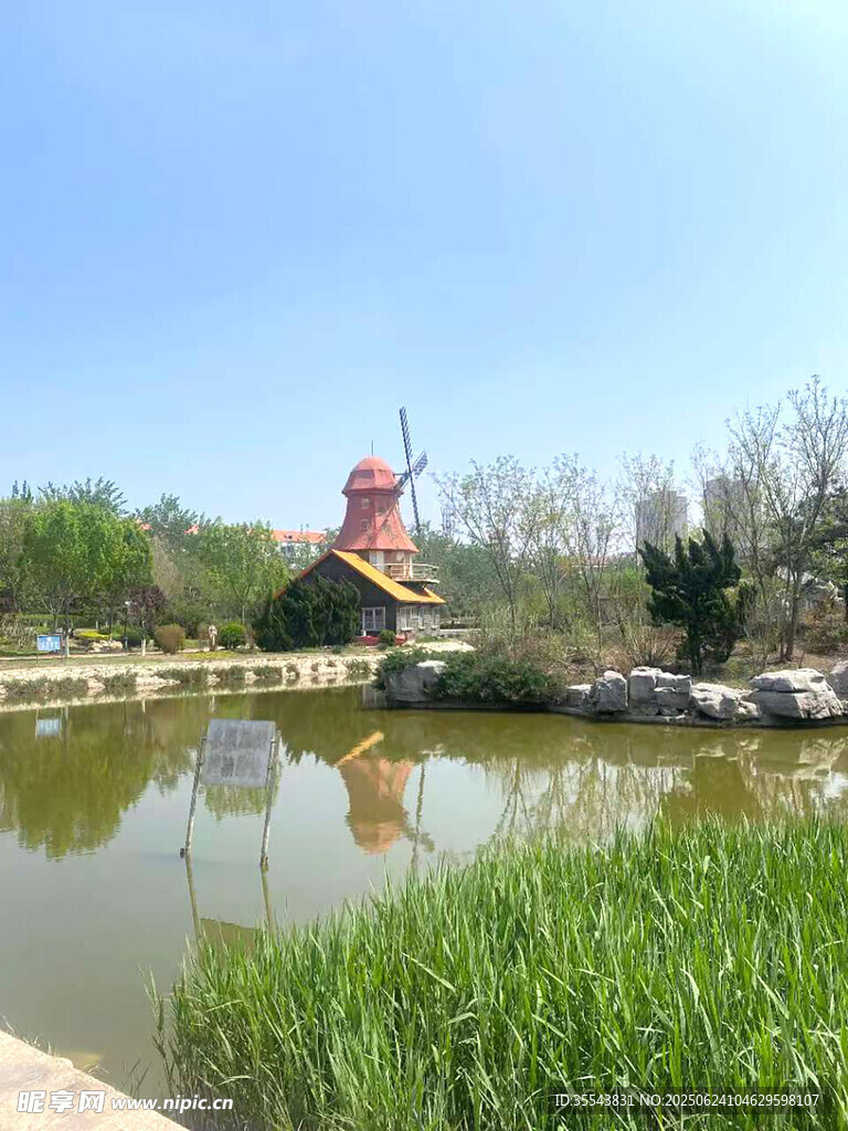 公园   绿意盎然