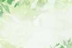 清新绿色背景展板