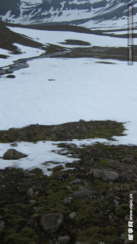 雪山下的草地与零星积雪