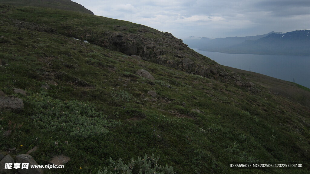 山间草地与远处水域景观