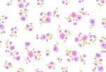 小碎花