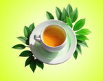 清新茶杯