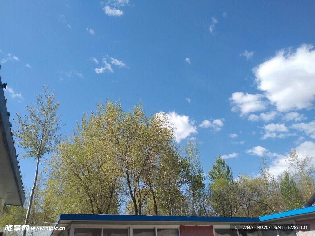 蓝天绿树旁的建筑景观