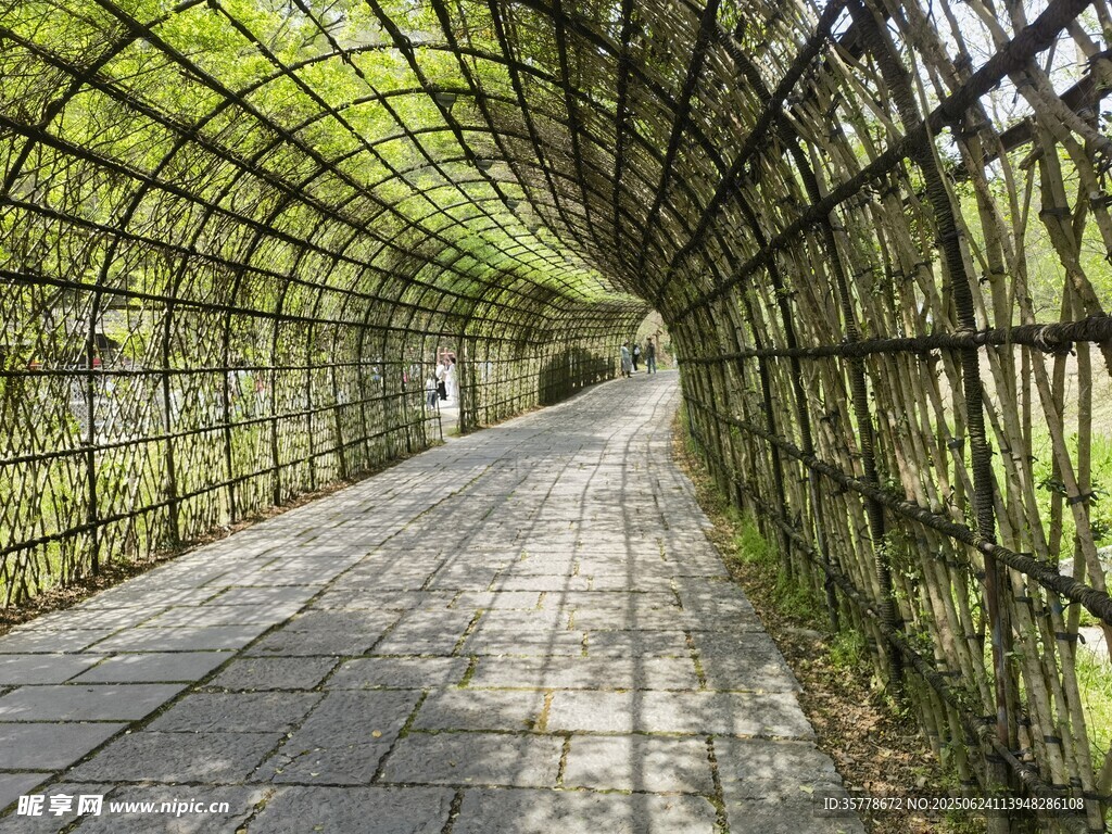 常德桃花源竹制拱形长廊景观