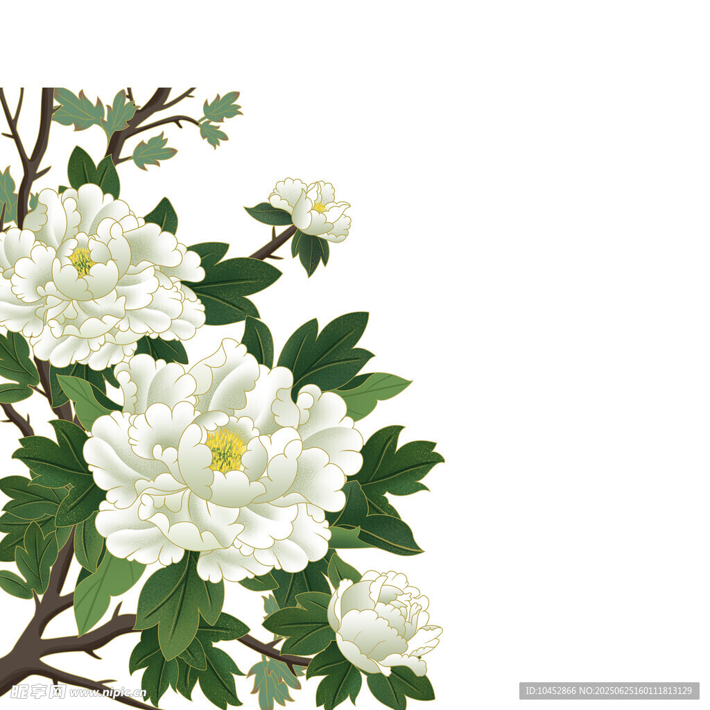 手绘花
