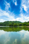 深圳仙湖
