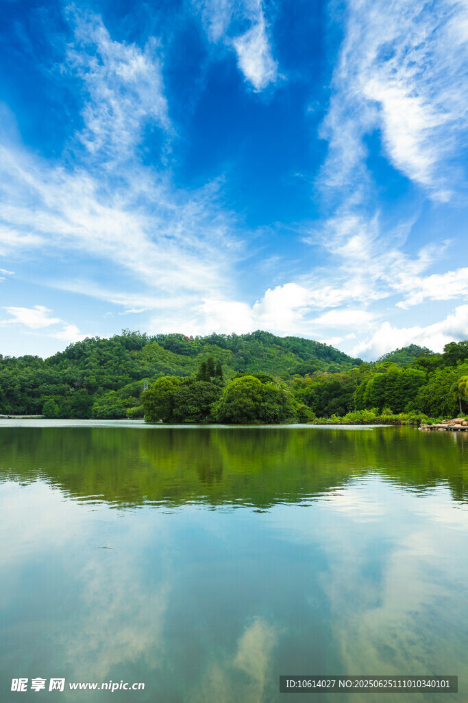 深圳仙湖