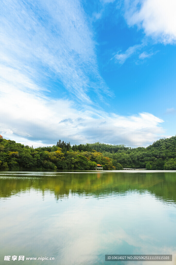 深圳仙湖