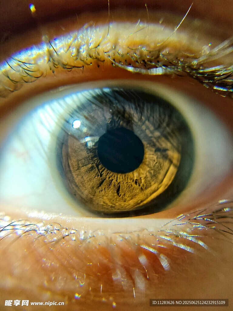 人类眼睛特写