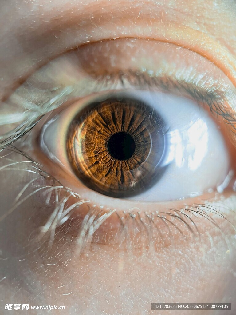 眼部特写