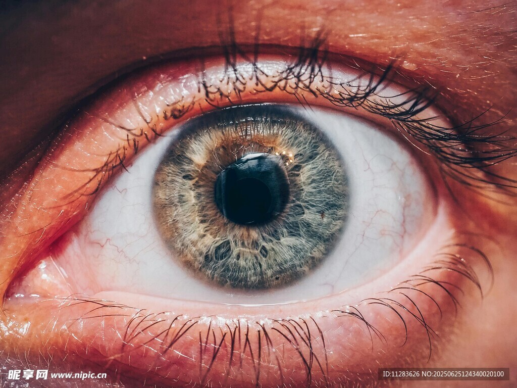 人类眼眸特写
