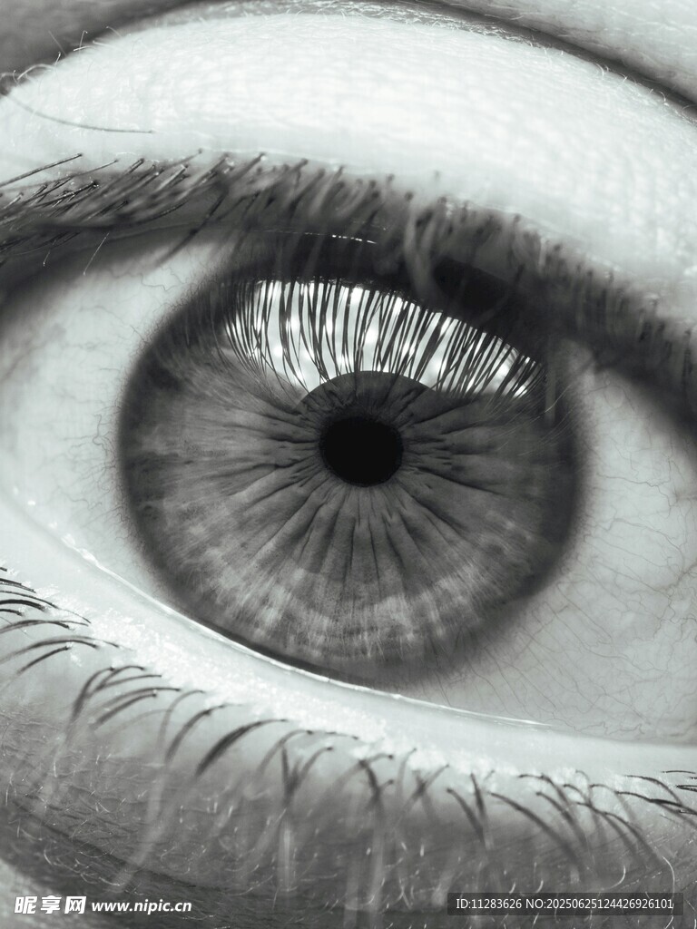 人类眼睛特写