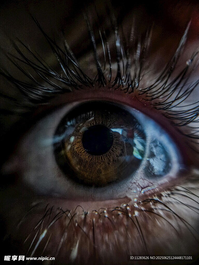 瞳孔特写